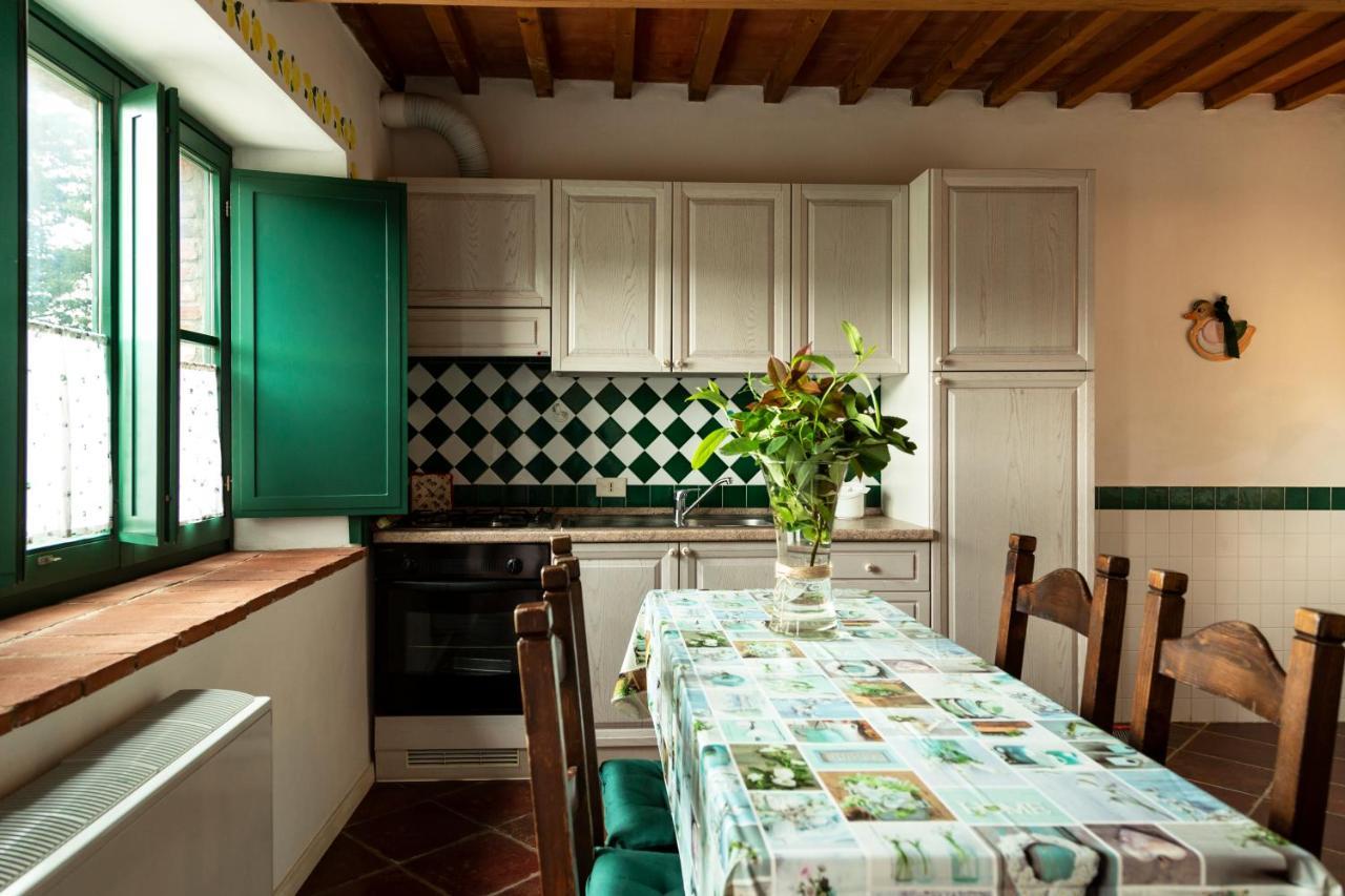 Agriturismo Il Belvedere Country Houses Massa Marittima Ngoại thất bức ảnh